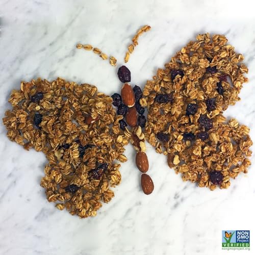 Erin Baker's Homestyle Granola - Coconut Chia, Ancient Grains, Vegan, Non-GMO Cereal - Bulk 10-Pound Bag - 10529