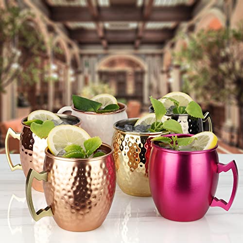 ARORA Aluminum Cups, Metal Anodized Multi-Colored Blue, Red, Green, Purple Moscow Mule Mug Set , Aluminum Cocktail Drink Mug 19oz Mug,Set of 4