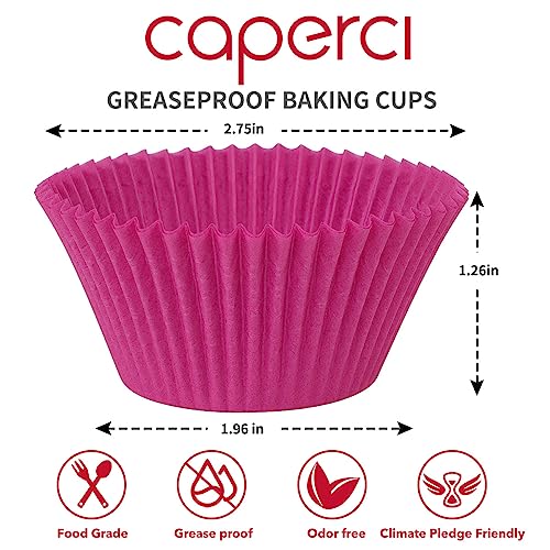 Caperci Rainbow Standard Cupcake Liners Bright Colorful Muffin Baking Cups 350-Count, Odorless, Upgraded & Food Grade Grease-Proof Paper