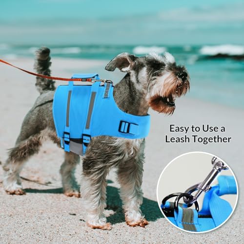 Queenmore Dog Life Jacket, XS Dog Life Vest,High Floating Pet Life Vest for Swimming,Lightweight Adjustable Puppy Life Preserver for Boating,Dog Water Vest with Back Zip,Rescue Handle,Hook (Blue XS)