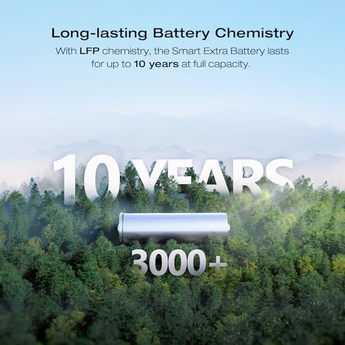 EF ECOFLOW DELTA 2 Max Power Station Extra Battery, 2048Wh LiFePO4 (LFP) Battery, Compatible with DELTA 2&DELTA Max 2000&DELTA 2 Max Outdoor Generators