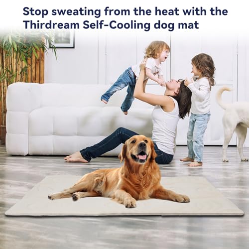 Thirdream Dog Crate Mat, Soft Dog Kennel Pad for Small Dog Sleeping, 36" x 23"x1", Pet Puppy Cat Washable Pad for Cages Bed Kennels Sofa Floors Portable Beige Yellow