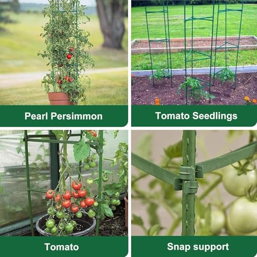 GROWNEER 3 Packs Tomato Cages for Garden, 51 Inches Tomato Trellis Plant Stakes Support, Tomatoes Plant Cage with 9Pcs Clips and 328Ft Twist Tie, for Vegetable Flowers Fruits Vertical Climbing Plants