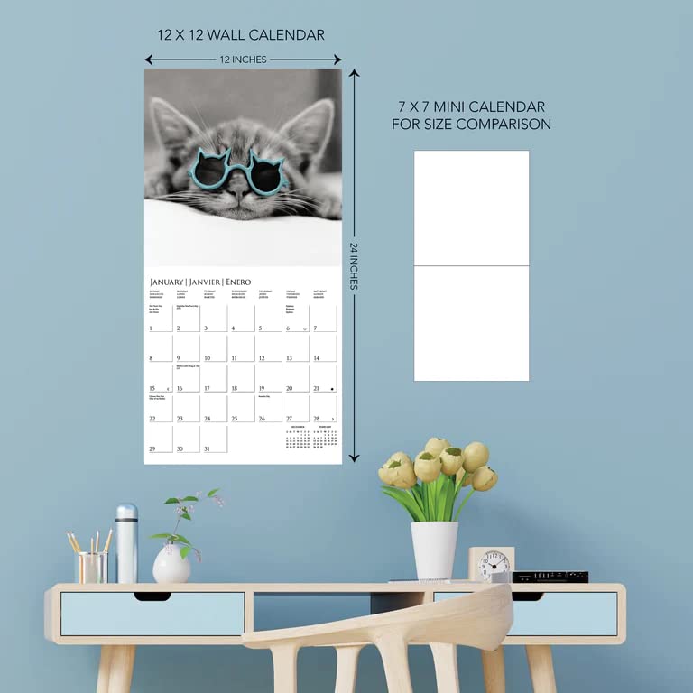 Graphique 2024 Seascapes Wall Calendar | 12” x 12” | Thick Paper | Home & Office Organizer | Large Monthly Grid | 3 Languages & Marked Holidays | 4 Month Preview Page for 2025