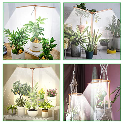 bodkar Wooden Grow Lights for Indoor Plants Full Spectrum, Slim Indoor Plant Growing Light with 6000K White Red LEDs 2-Head (Without Timer/Dimming)