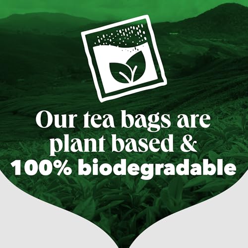 PG Tips One Cup Pyramid Tea Bags (Pack of 1, Total 1100 Tea Bags)
