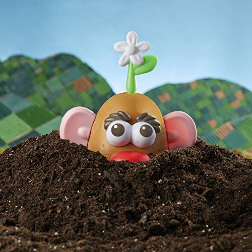 Mr Potato Head Goes Green Toy for Kids Ages 3 and Up, Made with Plant-Based Plastic and FSC-Certified Paper Packaging (Amazon Exclusive)