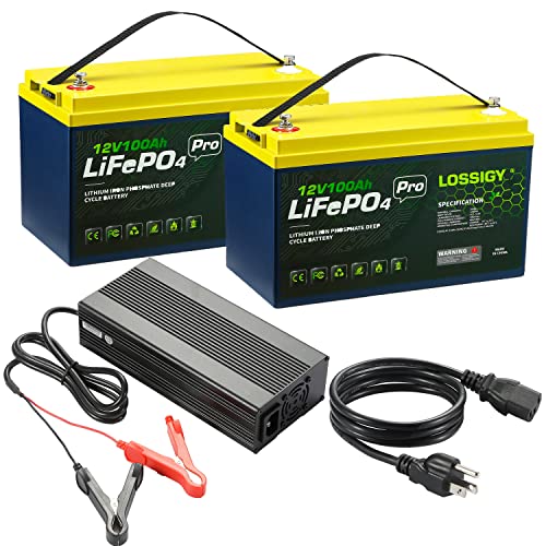 LOSSIGY 12V 100AH Bluetooth Lifepo4 Battery with 12V 10A Smart Lithium Charger, 10 Yrs Lifespan, Prefect for RV, Golf Cart, Solar System, Trolling Motor, Marine, Boat