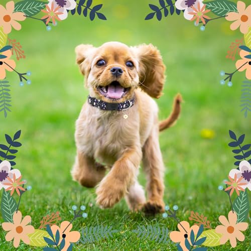 Athbavid Floral Dog Collar, Flower Print Dog Collars with Cute Charm, Adjustable Dog Collars for Small Medium Large Dogs,Pet Girl Boy,Running Walking Playing Exercise,Wedding Holiday