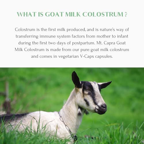 Mt. Capra Goat Milk Colostrum | for Healthy Immune System, Gut, and Athletic Performance | Grass-Fed, High in Immunoglobulins | 30 Servings - 120 Capsules