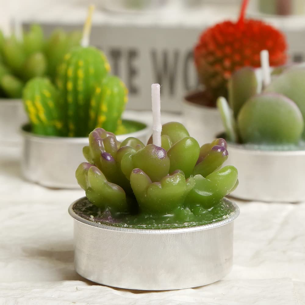 SSleng 12pcs Cactus Tealight Candles, Handmade Delicate Succulent Cactus Candles Perfect for Birthday Party ,Wedding, Spa, Home Decor