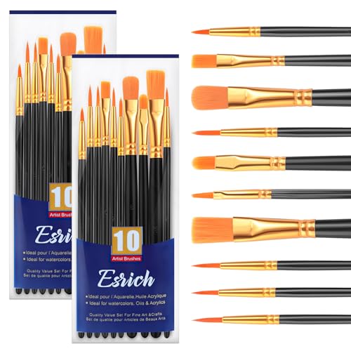 ESRICH Paint Brushes, 2 Packs / 20 Pcs Nylon Miniature Paintbrushes, Face and Body Watercolor Oil Painting Artist Professional Acrylic Paint Brushes Set,Black
