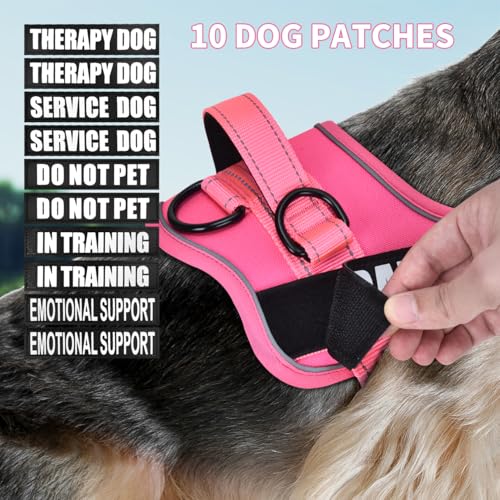 Dog Vest Harness and Leash Set, Animire Reflective Service Dog Vest with 10 Patches, 3 Rings No Choke Pet Vest for Leash Placement, in Training Dog Harness for Small Medium Large Dogs(Hot Pink,XS)