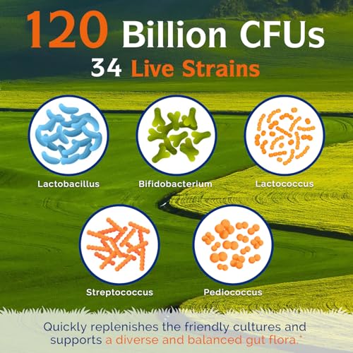 Innate Vitality Probiotics 120 Billion CFUs 34 Strains with Prebiotics & Digestive Enzymes, Digestion & Immunity Health for Women & Men, Shelf Stable, 30 Vegan Capsules