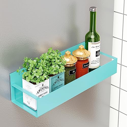 Vetacsion 4 Pack Moveable Fridge Magnetic Spice Racks,Metal Red
