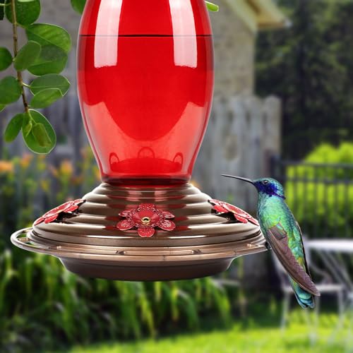 BOLITE Hummingbird Feeder, Glass Hummingbird Feeders for Outdoors Hanging, Five Feeding Ports, 22 Ounces, Red Bottle