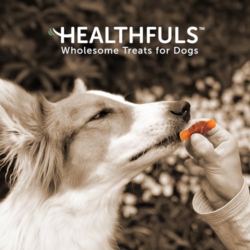 Healthfuls Chicken Wrapped Sweet Potato Dog Treats, 16oz