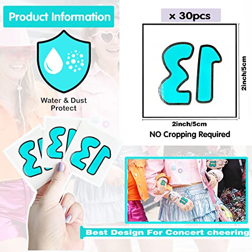 Tuoshei 30 Pcs Concert Merch,13 Temporary Tattoo,13 Tattoo, Hand tattoo, Star Temporary Tattoos, Concert Accessories for Singer Gifts