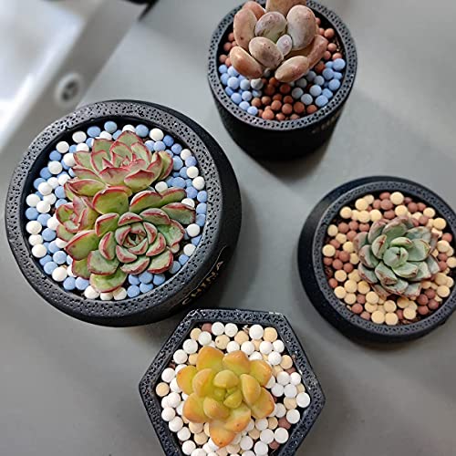 wohohoho 2.2lbs Mini Blue Hydroponics Clay Pebbles, Upgraded 3mm-5mm Hydro Ceramsite Balls, Horticultural Plant Top-Dressing Decorative Rocks for Aquaponics, Drainage Water, Purification, Cultivation