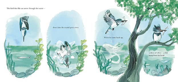 Grandpa and the Kingfisher