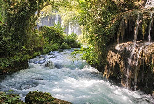 Baocicco 6x4ft Vinyl Green Forest Backdrops for Photography Background Mountain and Water Landscape Beautiful Waterfall and River Ancient Tree Outdoor Explore Holiday Backdrop Photo Studio