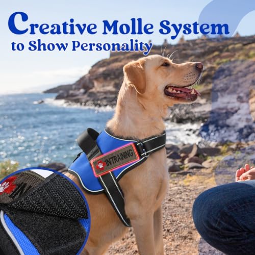 rabbitgoo Dog Harness Small Sized, No Pull No Choke Pet Vest, Easy Wearing with One Buckle, Reflective, Adjustable Pet Harness with Molle for Walking, Training, Blue, S