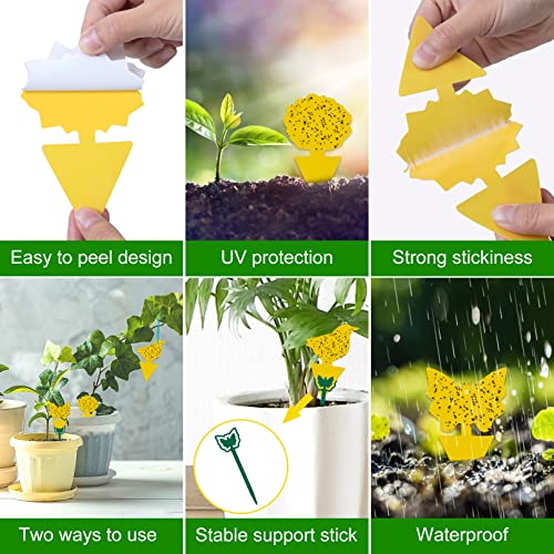 Stingmon 54 Pack Fruit Fly Trap for Indoor, Gnat Traps for House Indoor, Fungus Gnat Killer Sticky Traps for plants, Mosquitoes, Flying Insects