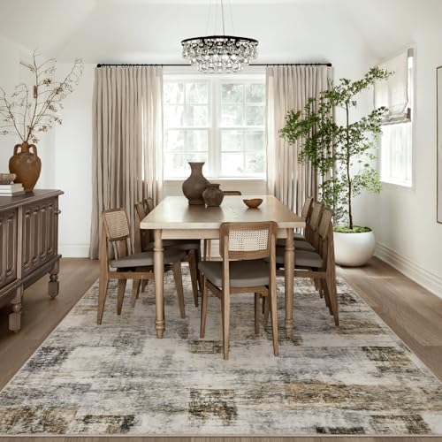 Area Rug Living Room Rugs: 3x5 Soft Modern Abstract Fluffy Rug with Non-Slip Backing, Washable Indoor Plush Throw Rug Small Accent Carpet for Bedroom Dining Room Nursery Home Office - Beige/Gray