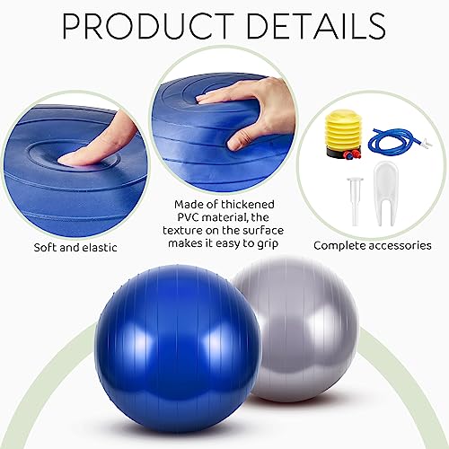 Sotiff 2 Pcs Herding Goat Ball Large PVC Exercise Training Ball with Inflator Pump for Dogs, Goats, Horses Outdoor Entertainment(17.7 Inch,Blue, Grey)