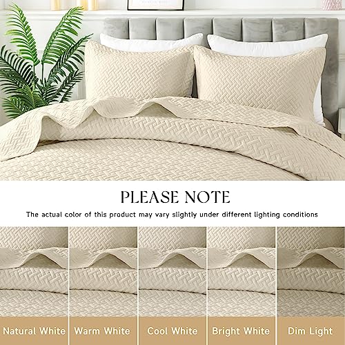 HYLEORY Quilt Set Full/Queen Size - Soft Lightweight Quilts Summer Quilted Bedspreads - Reversible Coverlet Bedding Set for All Season 3 Piece (1 Quilt, 2 Pillow Shams) - Beige