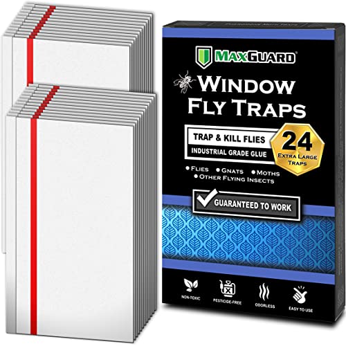 MaxGuard Window Fly Traps (24 XL Traps) Catch & Kill Houseflies, Flying Insects & Bugs. Non-toxic Sticky Glue Traps Fly Killer Clear Strip Insect Catcher Safe No Zapping with Zapper |