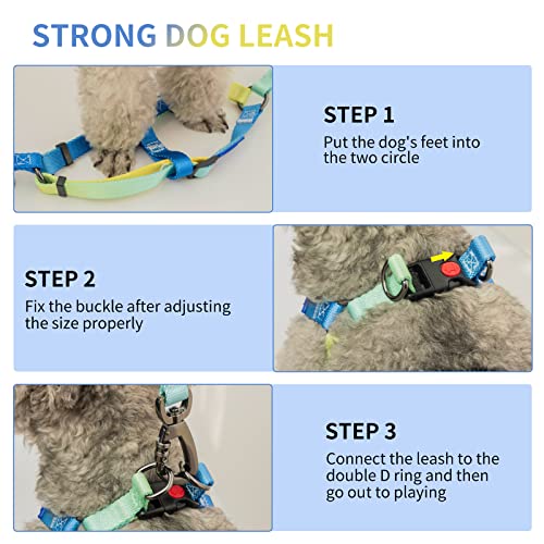 AIITLE Step in Dog Harness Collar Leash Set - Adjustable No Pull Dog Halter Harness - Comfortable Padded Handle - Easy Control for Walking - for Extra-Small Breed Dogs, Blue Gradient XS