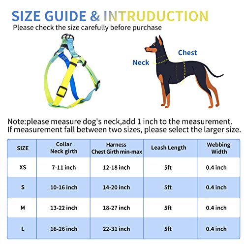 AIITLE Step in Dog Harness Collar Leash Set - Adjustable No Pull Dog Halter Harness - Comfortable Padded Handle - Easy Control for Walking - for Extra-Small Breed Dogs, Blue Gradient XS