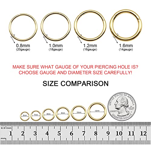 BOGKU 8pcs 18g Nose Rings Titanium Nose Ring Hoops 10mm Hinged Septum Clicker Nose Rings 18 Gauge Women Cartilage Conch Helix Rook Hoop Earrings (18 Gauge 10mm)