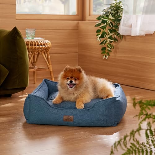 Bedsure Washable Dog Bed for Small Dogs - Waterproof All-Season Foam Puppy Beds, Orthopedic Rectangle Cuddle Indoor Cat Beds with Removable Zipper Cover, 25x21x8inches, Blue