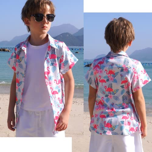 Toddler Dinosaur Shirt 3T Button Down Shirts 2T Navy Blue Short Sleeve Summer Beach Outfit Seaside Tourist Clothes Kids 2-3 Years Old Tops