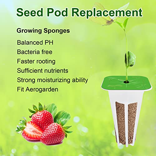 Ambgrow 90Pcs Grow Sponges and Baskets for Hydroponic Growing System, Indoor Plants Hydroponics Supplies Compatible with Idoo LYKO (Square)