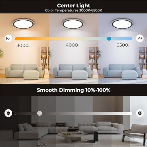 BLNAN 13in LED Flush Mount Ceiling Light Fixture with Remote Control, Dimmable Night Light 2000K, 3000K-6500K 24W Wired Low Profile Light for Bedroom, Kitchen, Living Room, Round Black