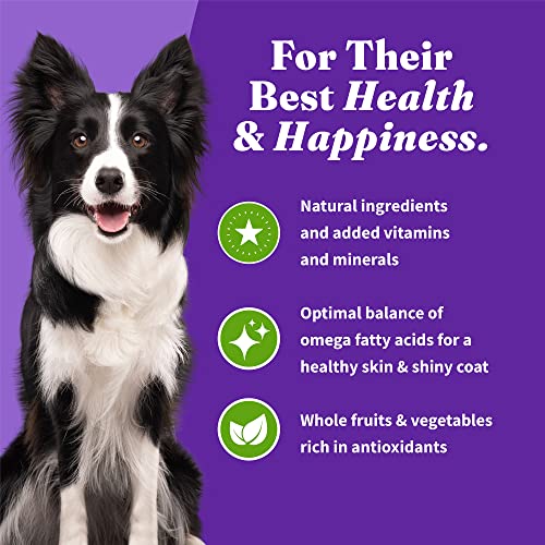 Halo Holistic Plant-Based Recipe With Superfoods, Complete Digestive Health, Vegan Dry Dog Food Bag, Adult Formula, 21-lb Bag