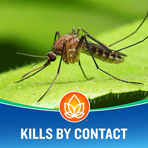 Cutter Essentials Bug Control Spray Concentrate, Kills Mosquitoes by Contact for Insects (Pack of 2)