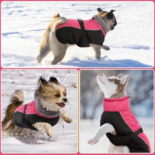 DENTRUN Warm Winter Coat Cold Weather Jacket Windproof Fleece Vest Reflective Outwear Waterproof Snowsuit Cozy Turtleneck Apparel for Small Dogs, S