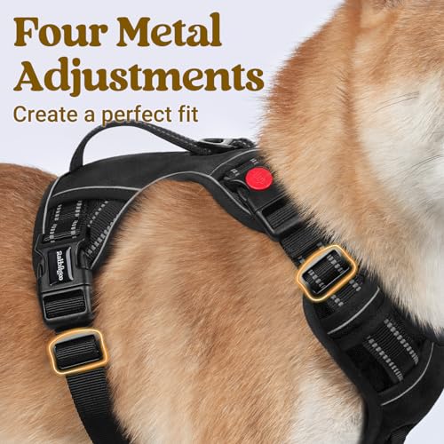 rabbitgoo Dog Harness Small Sized Dog, No Pull Pet Harness with Soft Padded Handle, Adjustable Reflective Vest with 3 Buckles, Easy Walking Harness with 2 Leash Clips, Black, S