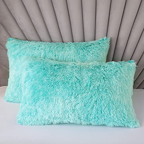 EMME Luxury Fuzzy Duvet Cover Set Twin Size Fluffy Comforter Cover Set for Twin Bed Shaggy and Plush Soft Bedding Duvet Covers (Aqua, Twin)