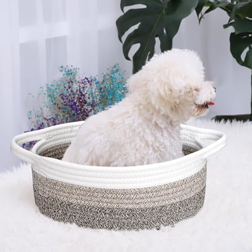 ABenkle Small Woven Basket, 12"x 8" x 5" Cute Small Basket, Rope Room Shelf Storage Basket, Cat Dog Toys Basket Chest Box, Empty Decorative Gift Basket with Handles - All Orange