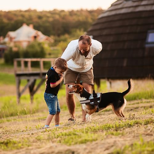 Dogline Dog Harness, Reflective No-Pull Adjustable Vest with Handle for Walking, Training, Breathable, No - Choke Harness for Small, Medium or Large Dogs Room for Patches Zebra Black/White S 18"-24"