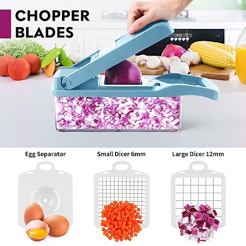 MAIPOR Vegetable Chopper Pro, Multifunctional 13 in 1 Food Chopper, Kitchen Vegetable Slicer Dicer Cutter With 8 Blades for Onion Carrot and Garlic With Container (Blue)