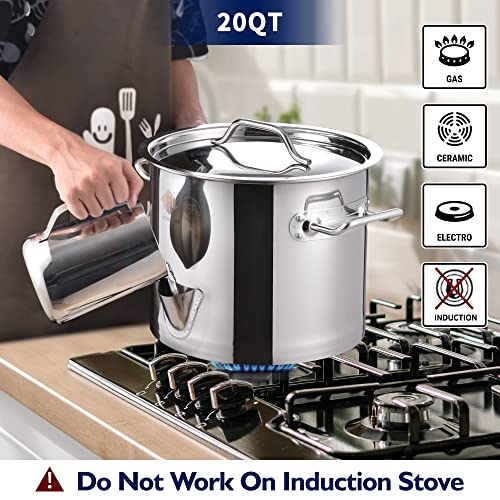 ARC 20QT Stainless Steel Tamale Steamer Pot w/Easy-fill Water Spout, Seafood Crab Steamer with Divider and Steamer Rack, 5 Gallon