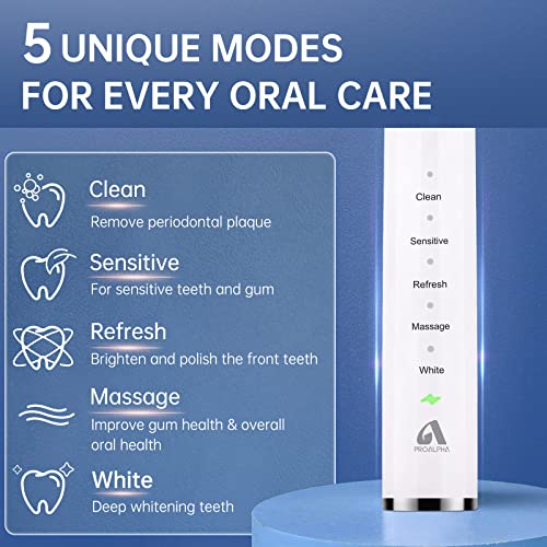 JTF Electric Toothbrush for Adults - Rechargeable Sonic Toothbrush with 6 Brush Heads & Travel Case, Deep Clean 5 Modes, Power Electric Toothbrush with Smart Timer, Black