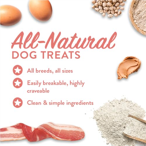 CRAFTED BY HUMANS LOVED BY DOGS Portland Pet Food Company Pumpkin Biscuit Dog Treats - Vegan, Gluten-Free, All Natural, Grain-Free, Human-Grade Ingredients, Made in The USA - 1-Pack (5 oz)