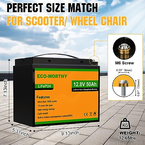 ECO-WORTHY 12V 50Ah 3 Pack LiFePO4 Lithium Battery (Pack in Series to 36V 50Ah), Built-in BMS, 3000+ Deep Cycle, Replacement of Lead-Acid Battery, Easy Installation, for Golf Cart, Trolling Motor